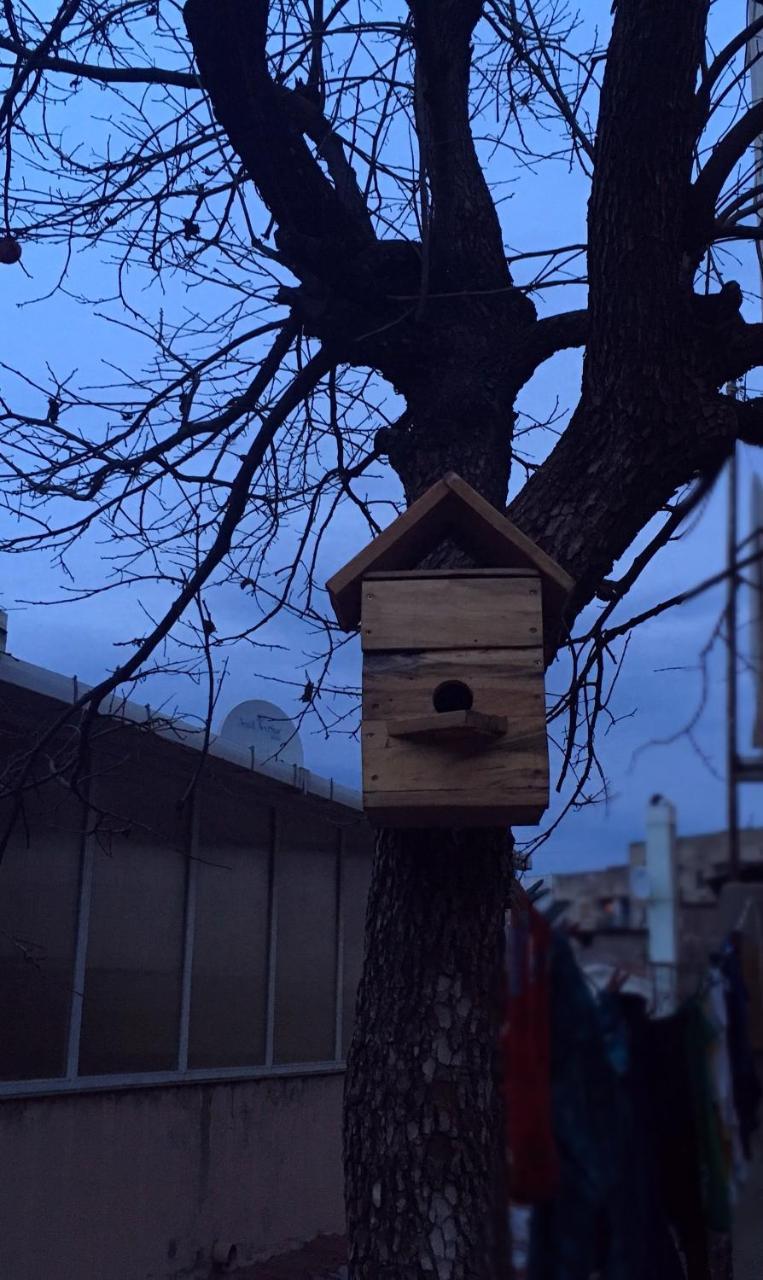 Birdhouse Rooms ティビリシ エクステリア 写真